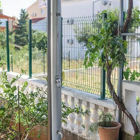 Bougainvillea Okrug Gornji